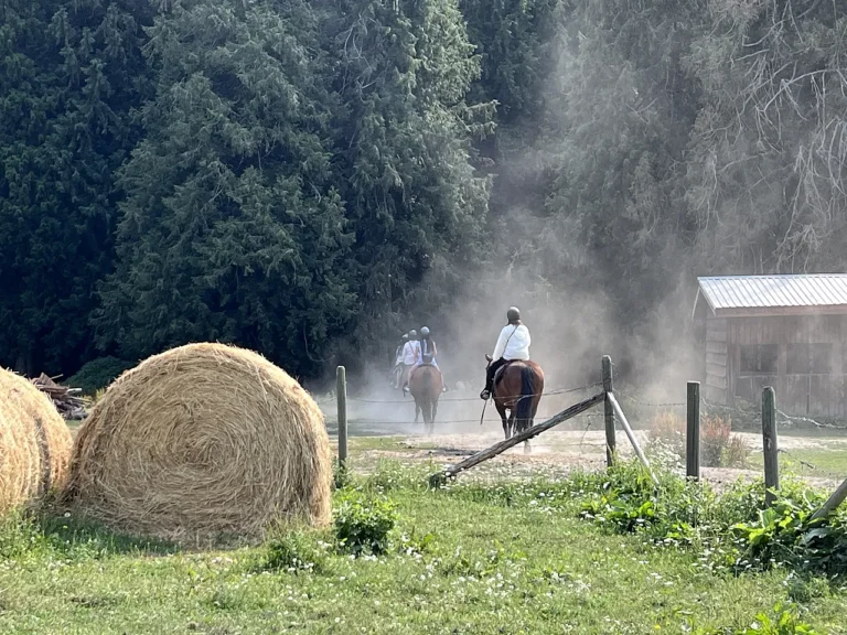 240721_IMG_2724_Q80_A-Lv_1280_sherp-2