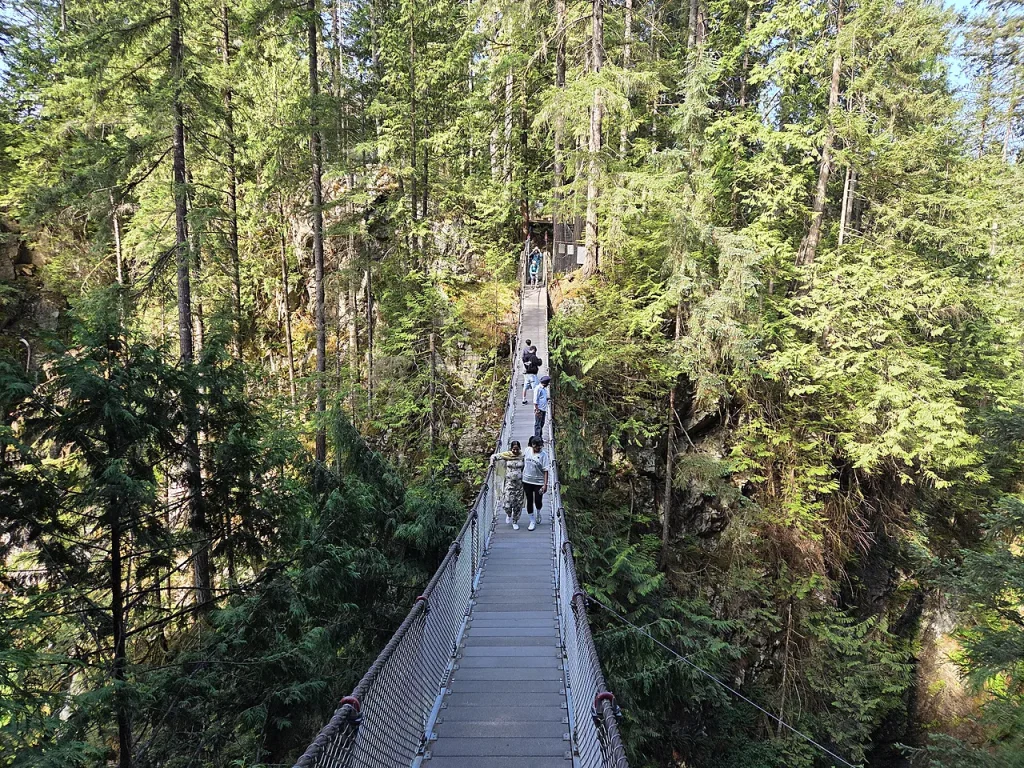 バンクーバー観光】バンクーバー郊外のLynn Canyonにいってきました